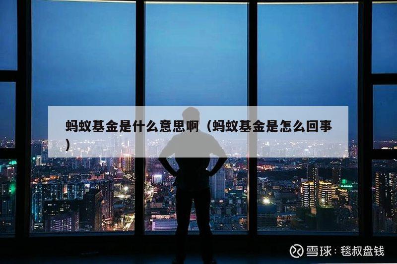 蚂蚁基金是什么意思啊（蚂蚁基金是怎么回事）