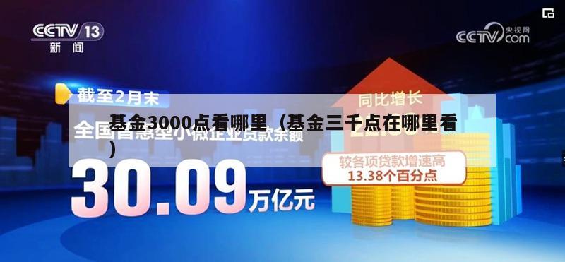 基金3000点看哪里（基金三千点在哪里看）