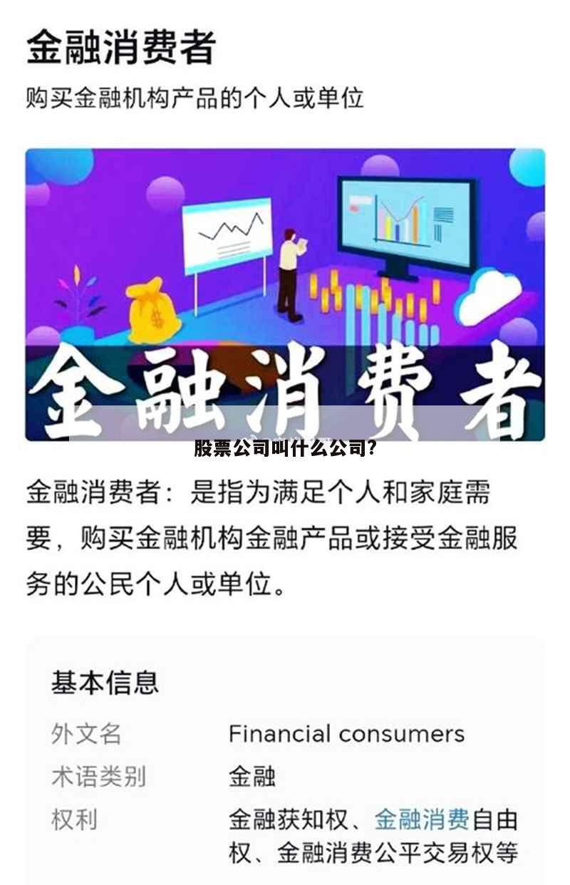 股票公司叫什么公司?