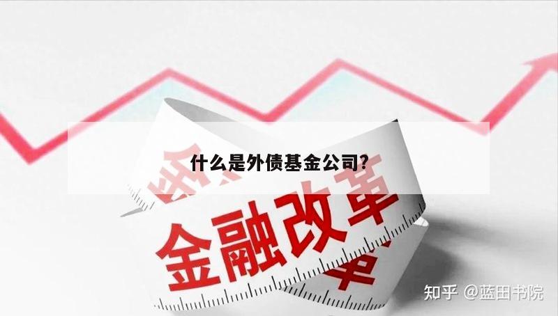 什么是外债基金公司?