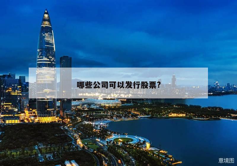 哪些公司可以发行股票?