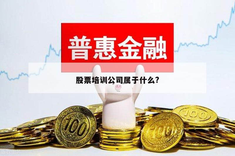 股票培训公司属于什么?